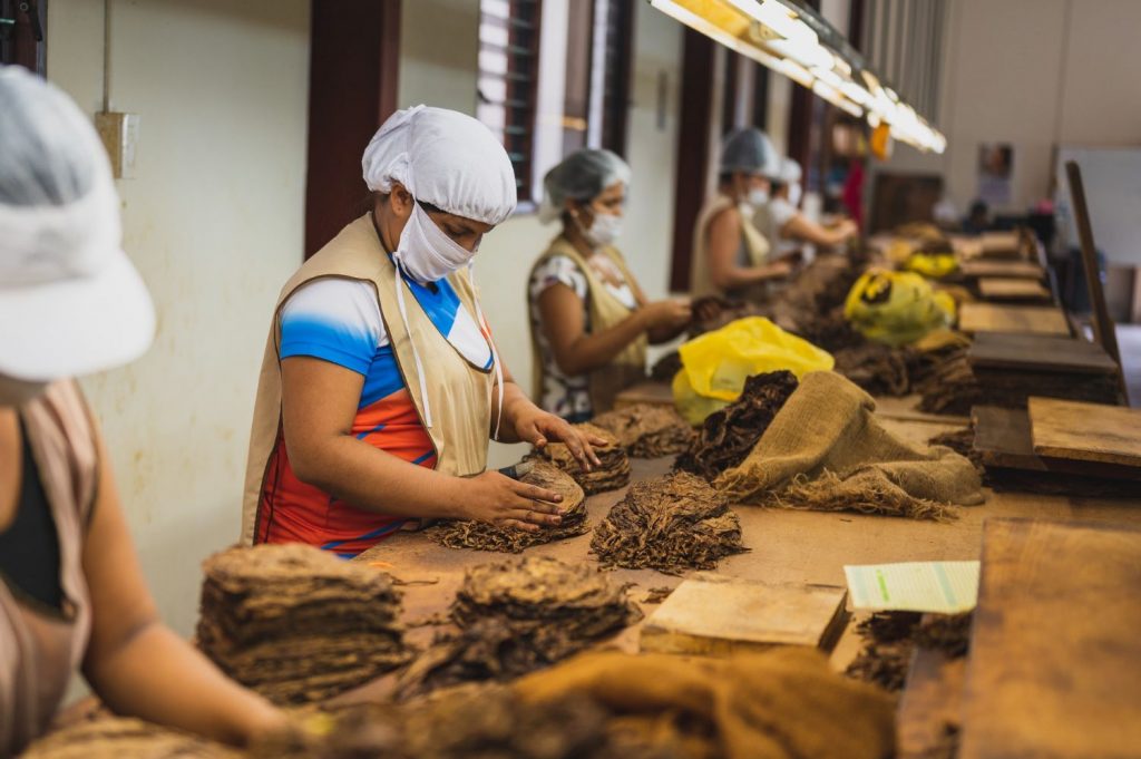 How Are Cigars Made