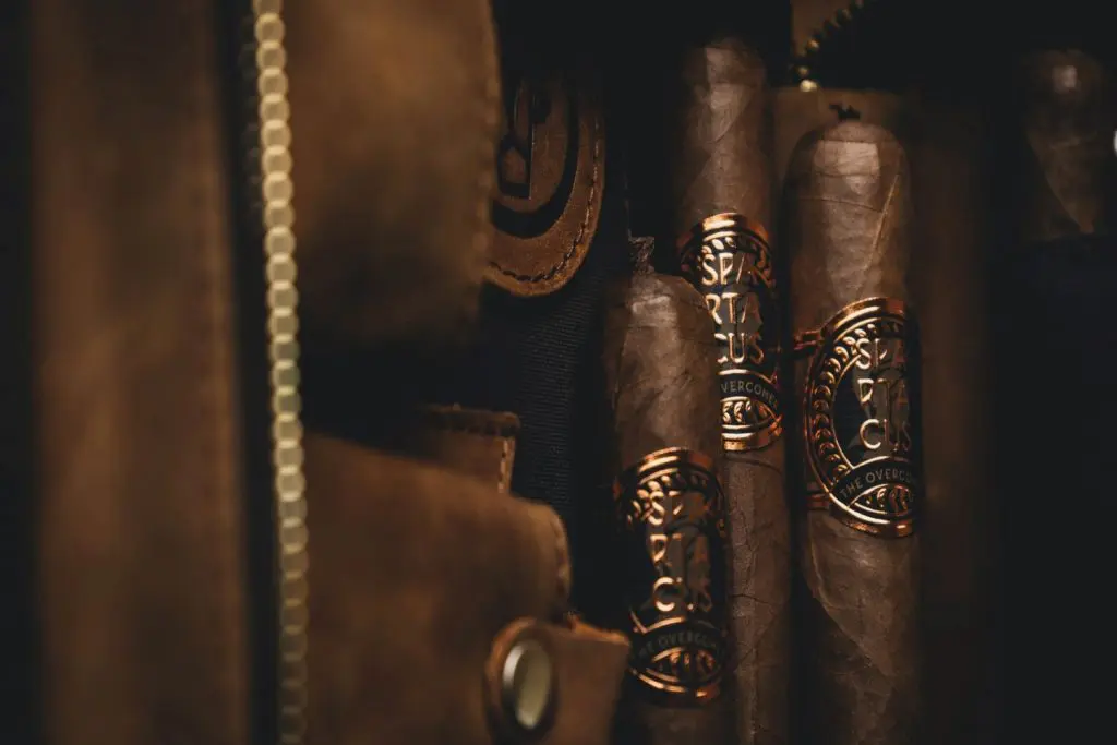 Snip! Goes The Pigtail - Cutting Pigtail Cigars 2 pigtails