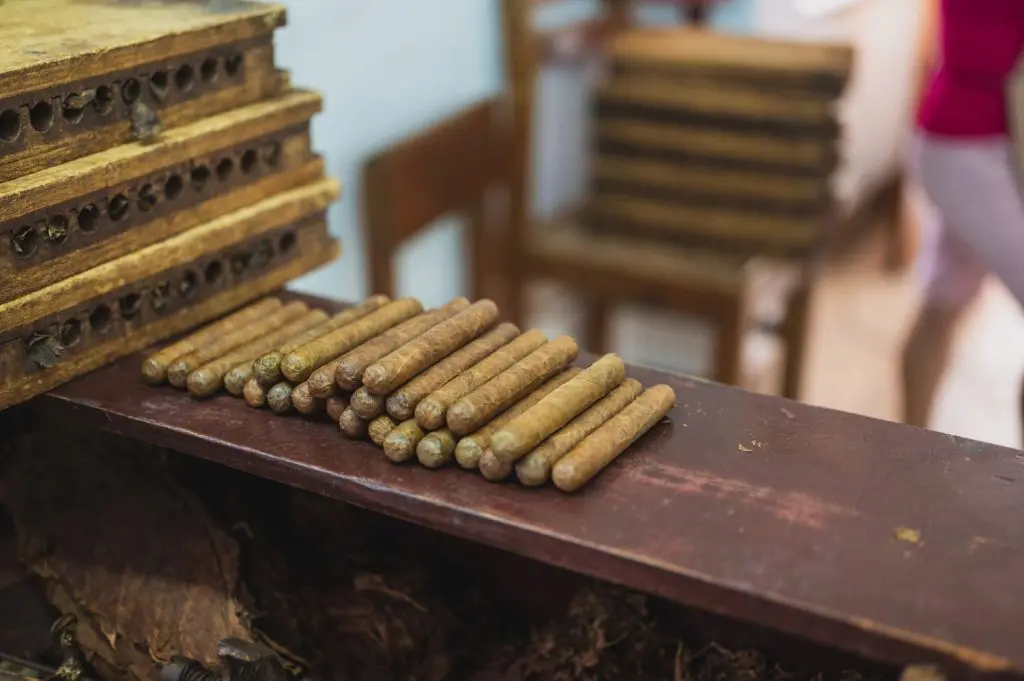 Connecticut Cigar: A Tobacco Guide 2 rolled cigars