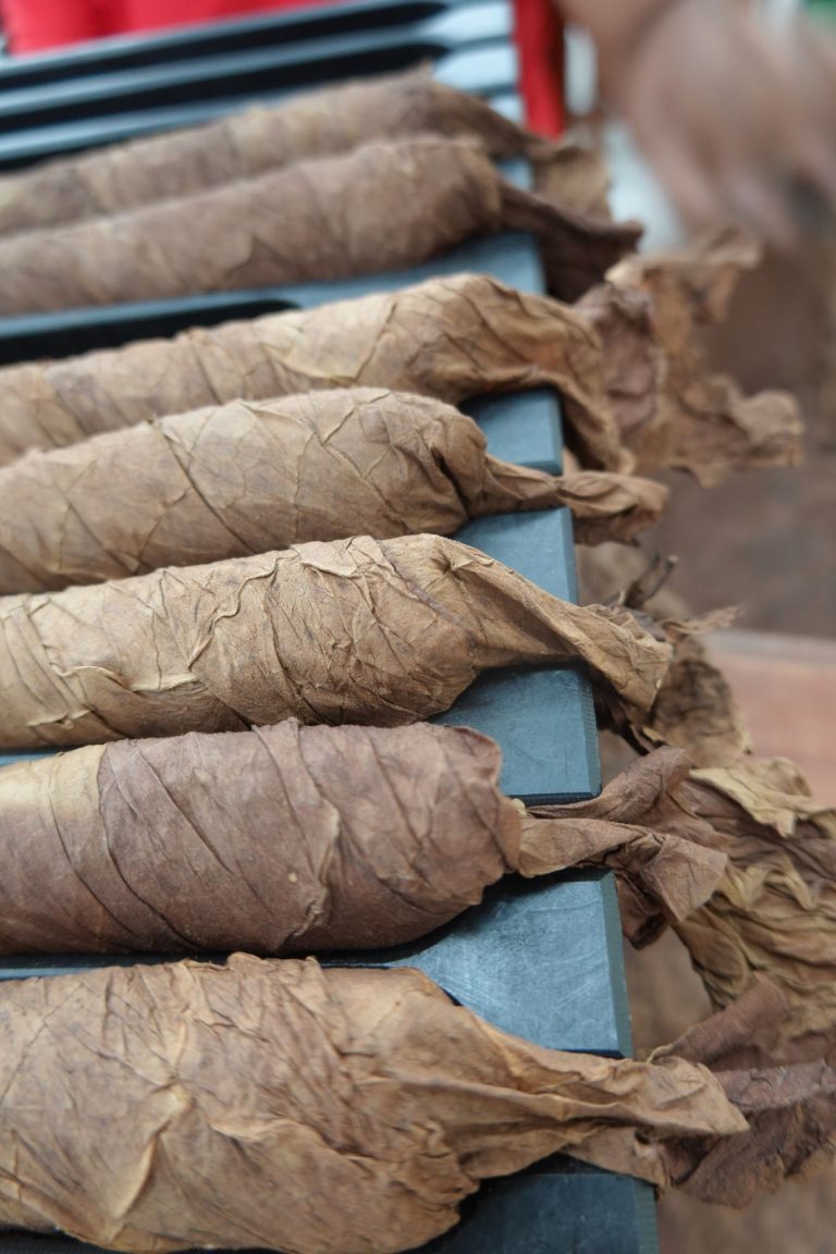 Cigar lounge gallery image 23